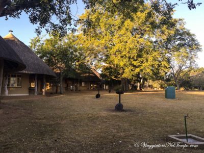 Kruger National Park - Prestoriuskop 