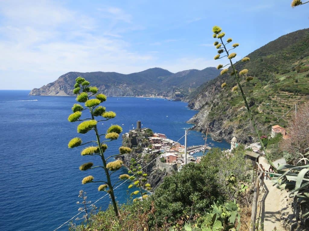 The Cinque Terre - View over Vernazza from the hiking trail with its signature agaves