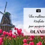 foto Olanda primavera tulipani